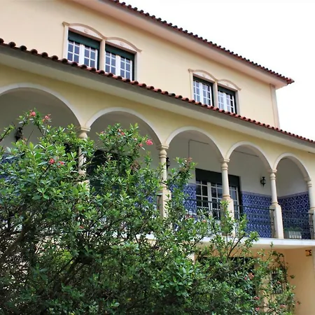 Saraiva's Vintage